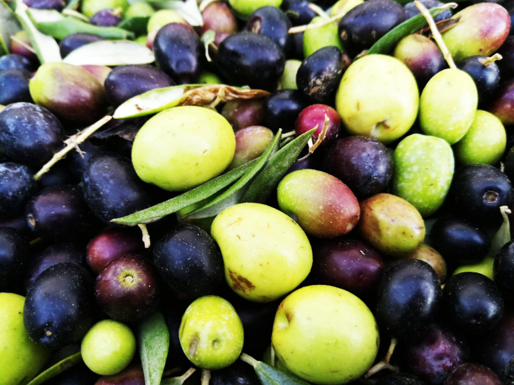 7 buoni motivi per  consumare  olio extravergine d'oliva 