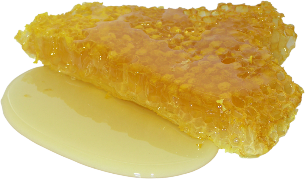 miele nelle celle