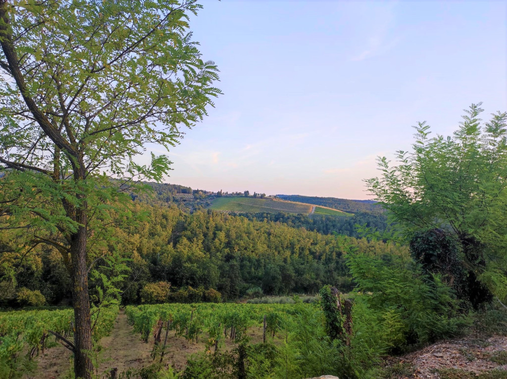 Panorama da Cortine - Pieve di Campoli