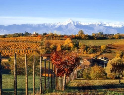 Piemonte, arriva la Giornata dell’Energia Sociale: ricaricarsi di relazioni