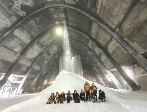 Saline di Volterra: il sale più puro d’Italia