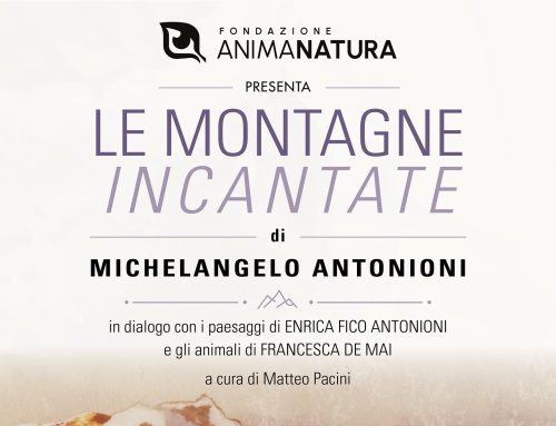 Semproniano: quando la natura si fa Arte